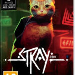 Stray Switch Game