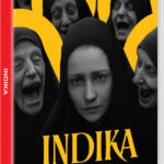 Indika Switch Game